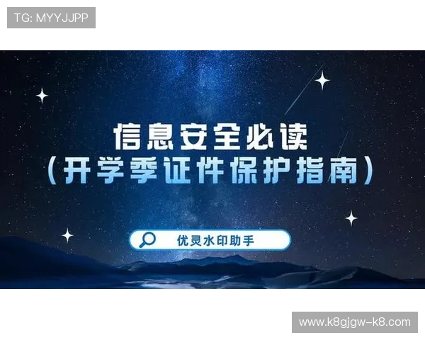 凯发官网登录地址最新入口，安全稳定的登录指南推荐