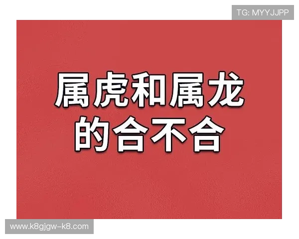 出龙和虎的玩法指南：从入门到精通的实用操作技巧