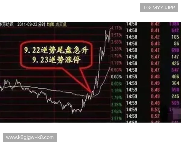 发财全看红波双打一生肖，详解生肖与红波走势的关系帮助玩家精准投注