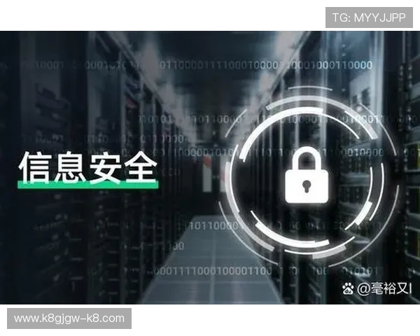 凯发电游手机端下载安装安全性分析保障用户信息安全与资金安全